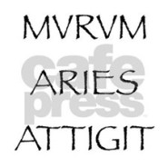murum_aries_attigit_mugs